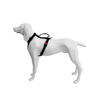 GENERAL_ALTS_IMAGE
