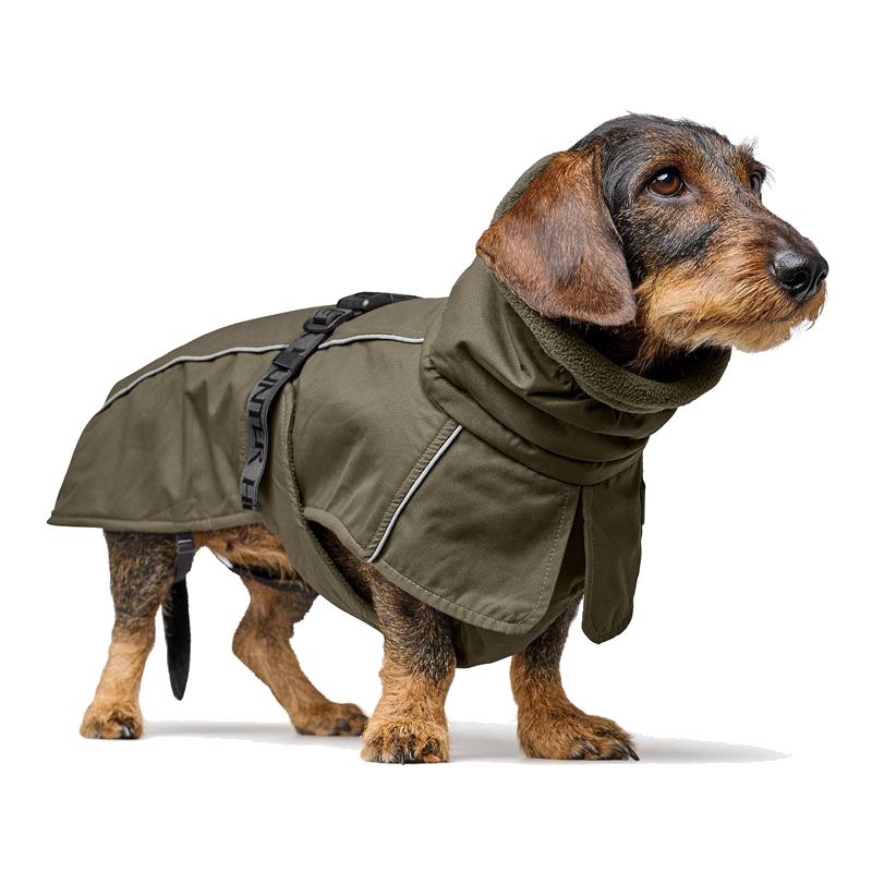 GENERAL_ALTS_IMAGE